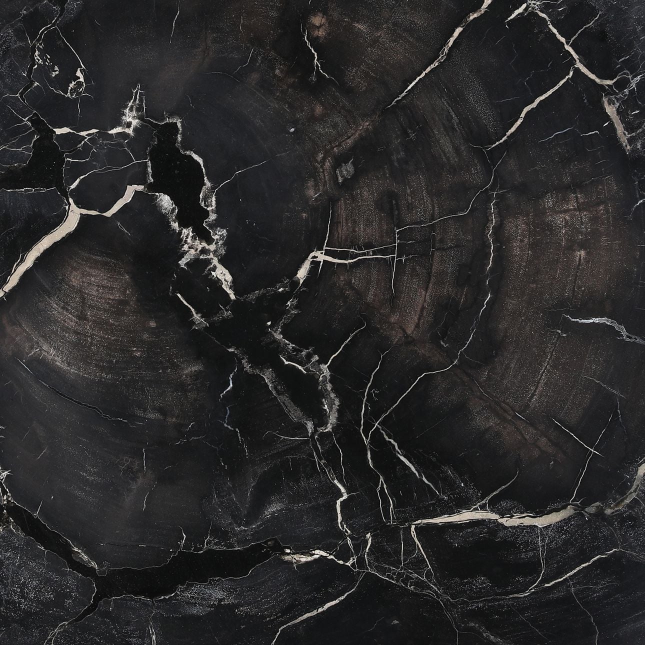 Natural and Black Petrified Wood and Metal Table 34 in Wide