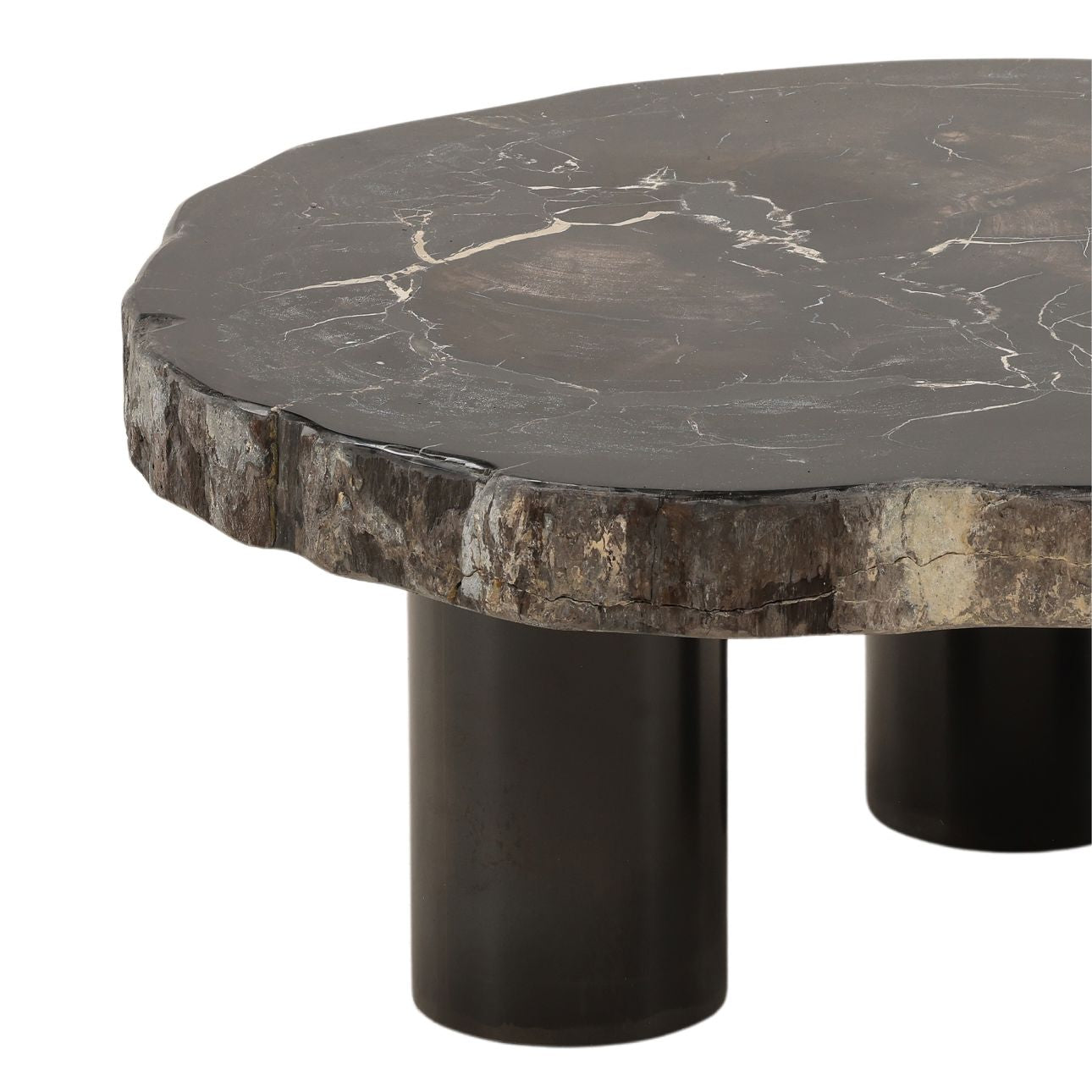 Natural and Black Petrified Wood and Metal Table 34 in Wide