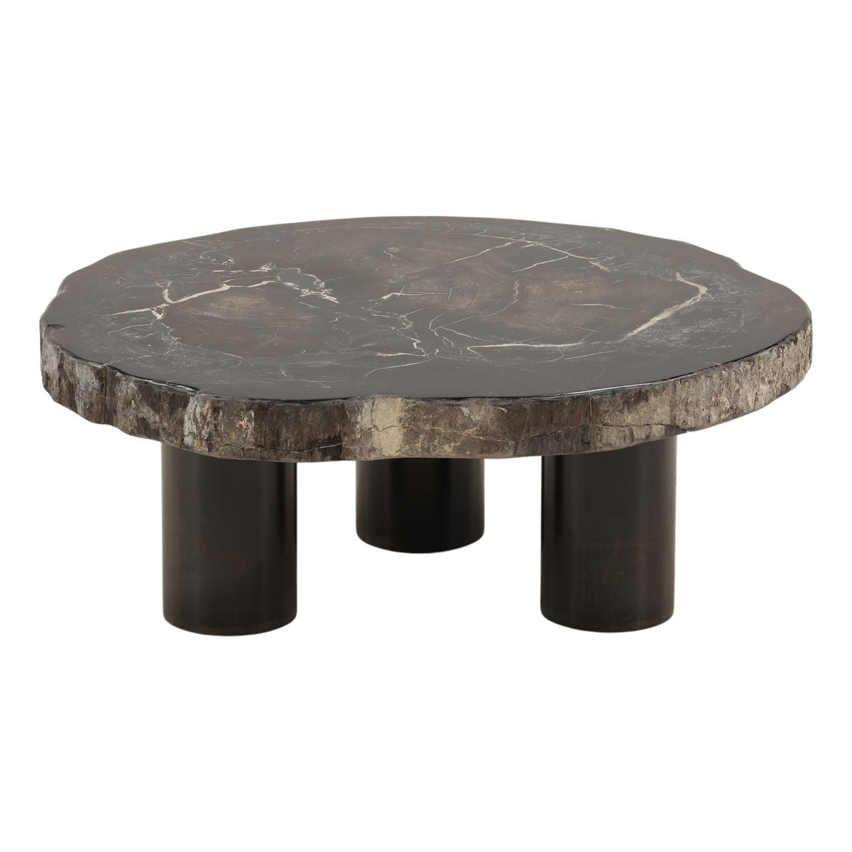 Curated Petrified Wood and Metal Coffee Table