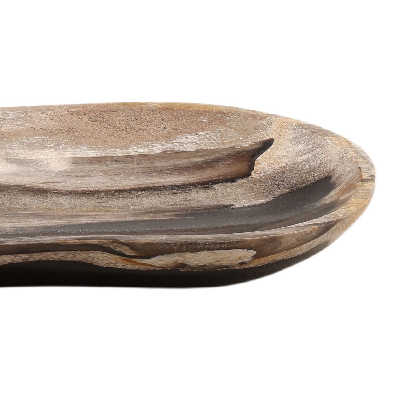 Black Petrified Wood Tray 27.5 in Wide