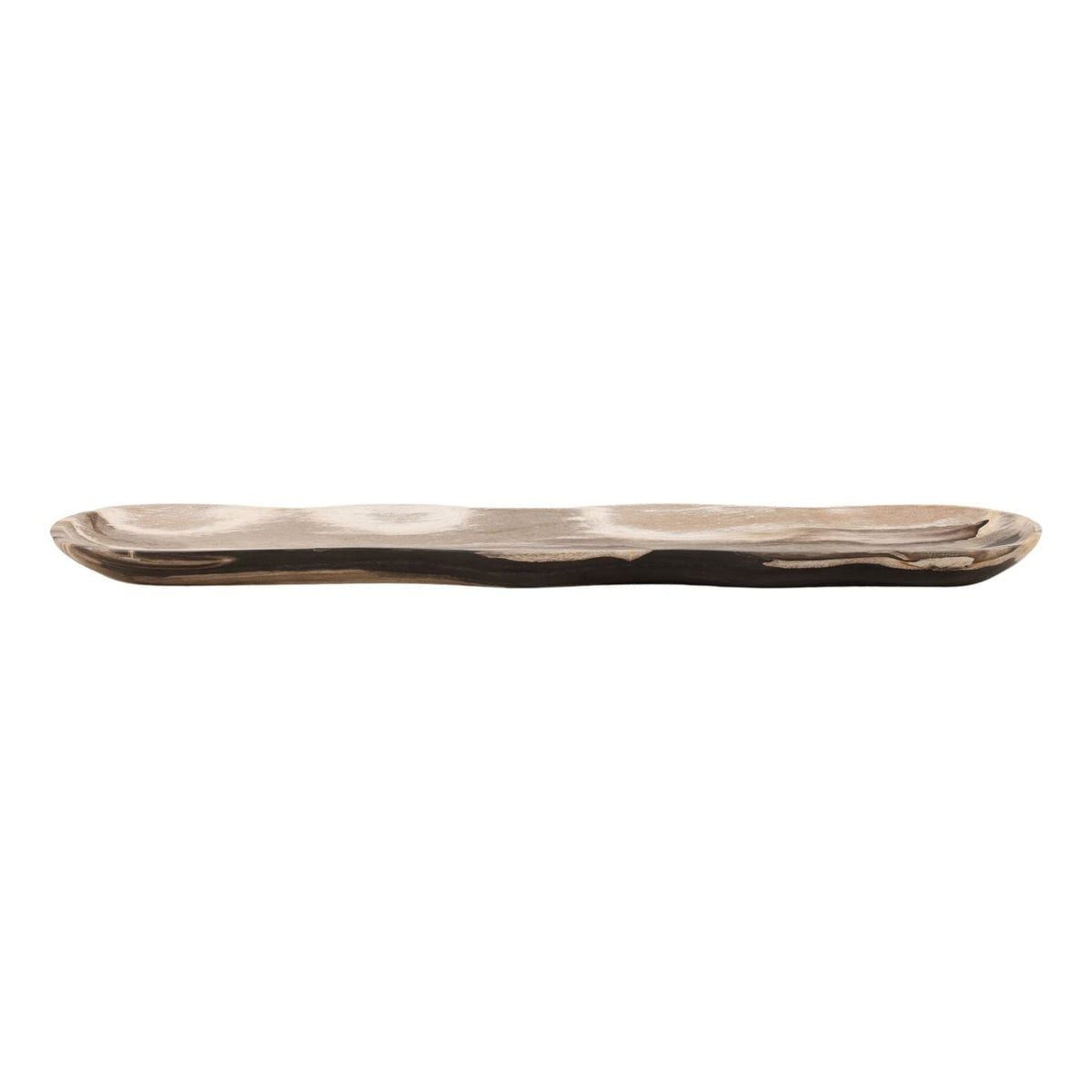 Modern Petrified Wood Decor Accent