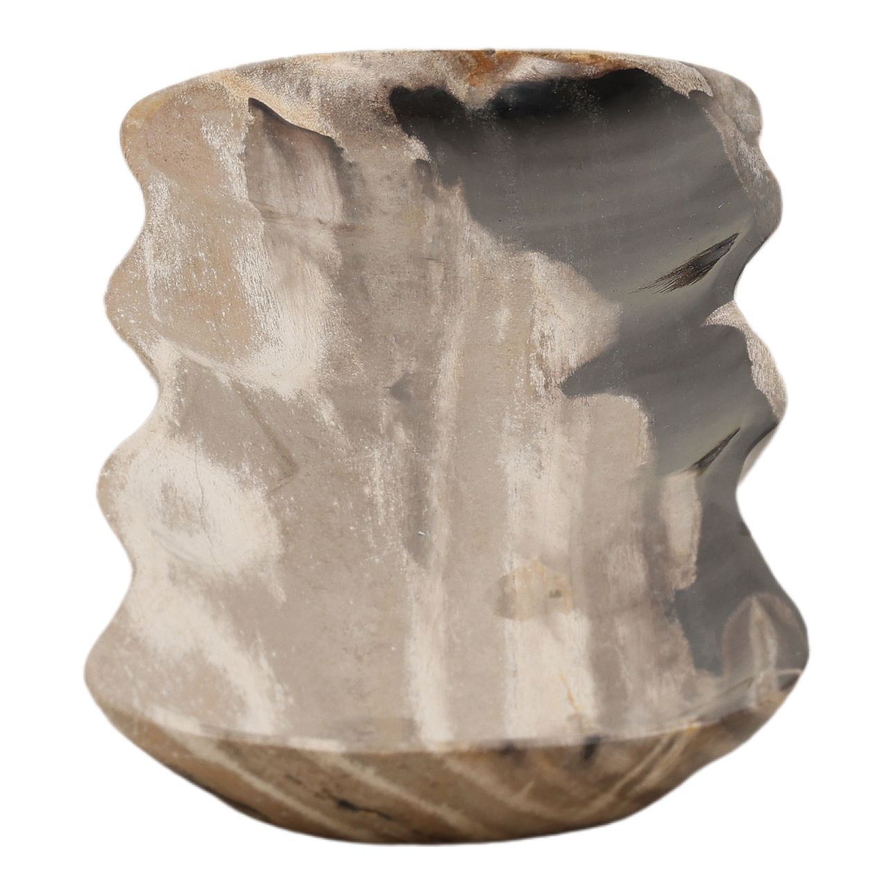 Black Petrified Wood Tray 27.5 in Wide