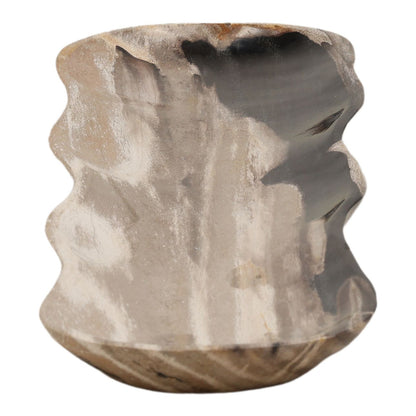 Black Petrified Wood Tray 27.5 in Wide