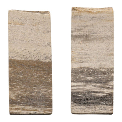 Natural Petrified Wood of 5 in Wide