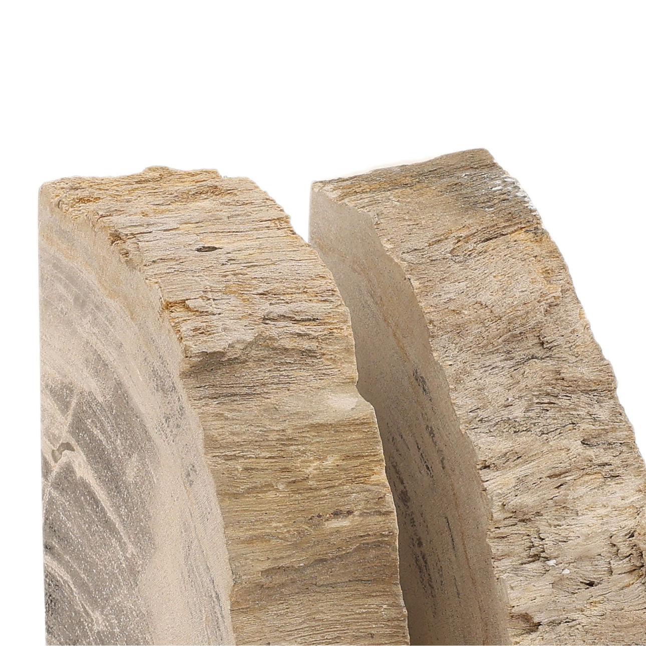 Natural Petrified Wood of 5 in Wide
