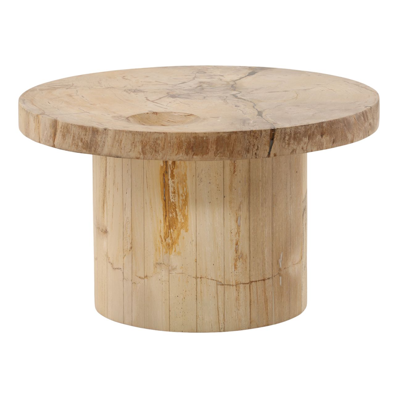 Natural Petrified Wood Table 25.5 in Wide