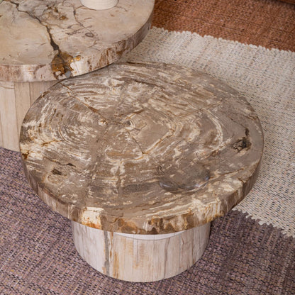 Natural Petrified Wood Table 25.5 in Wide
