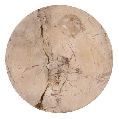 Natural Petrified Wood Table 25.5 in Wide