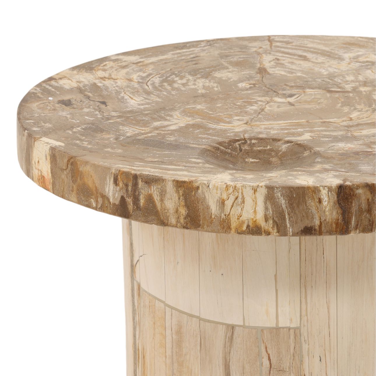 Natural Petrified Wood Table 25.5 in Wide