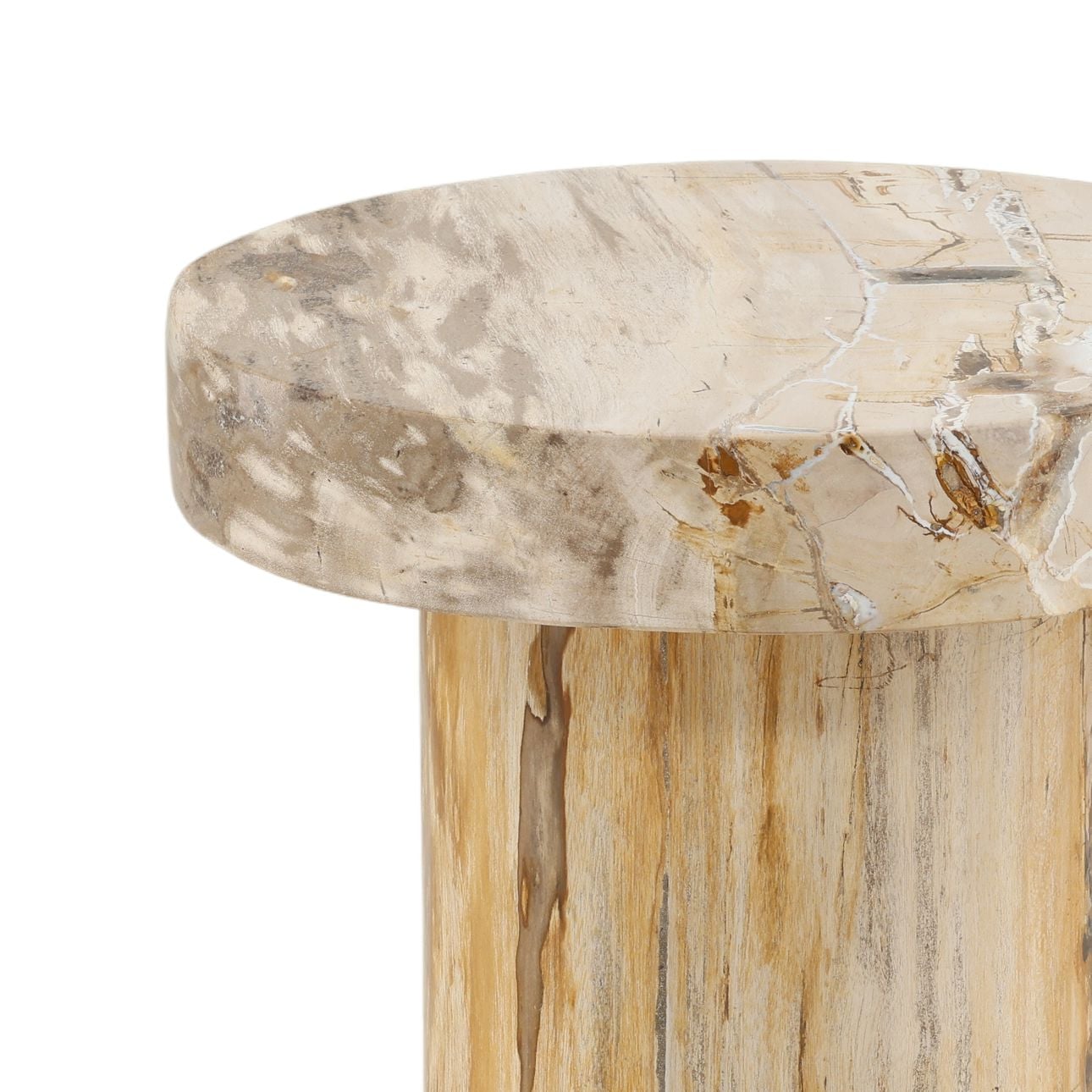 Natural Petrified Wood Table 13.5 in Wide