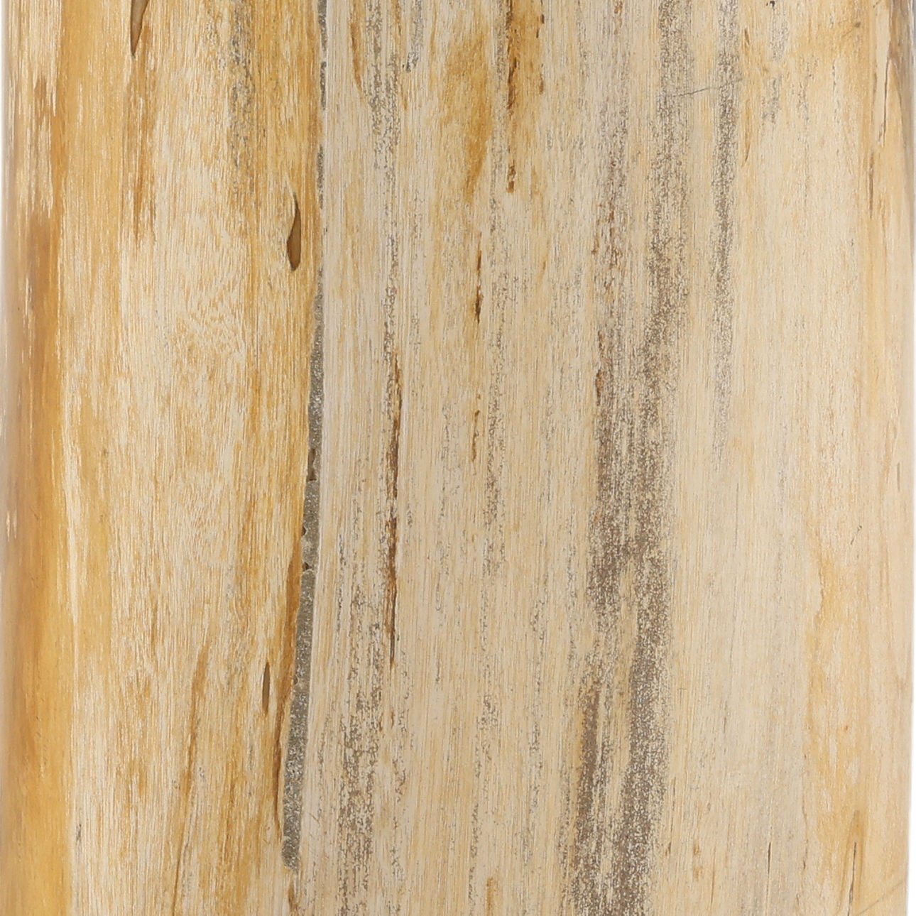 Natural Petrified Wood Table 13.5 in Wide