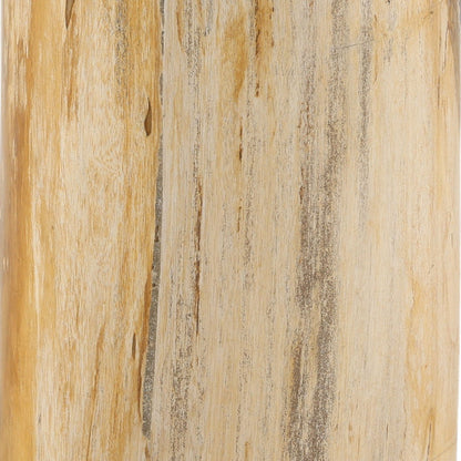 Natural Petrified Wood Table 13.5 in Wide