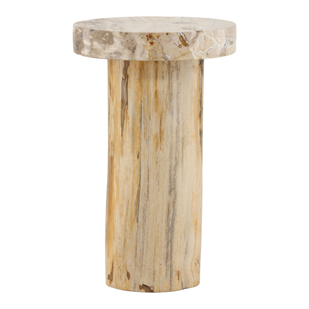 Natural Petrified Wood Table 13.5 in Wide