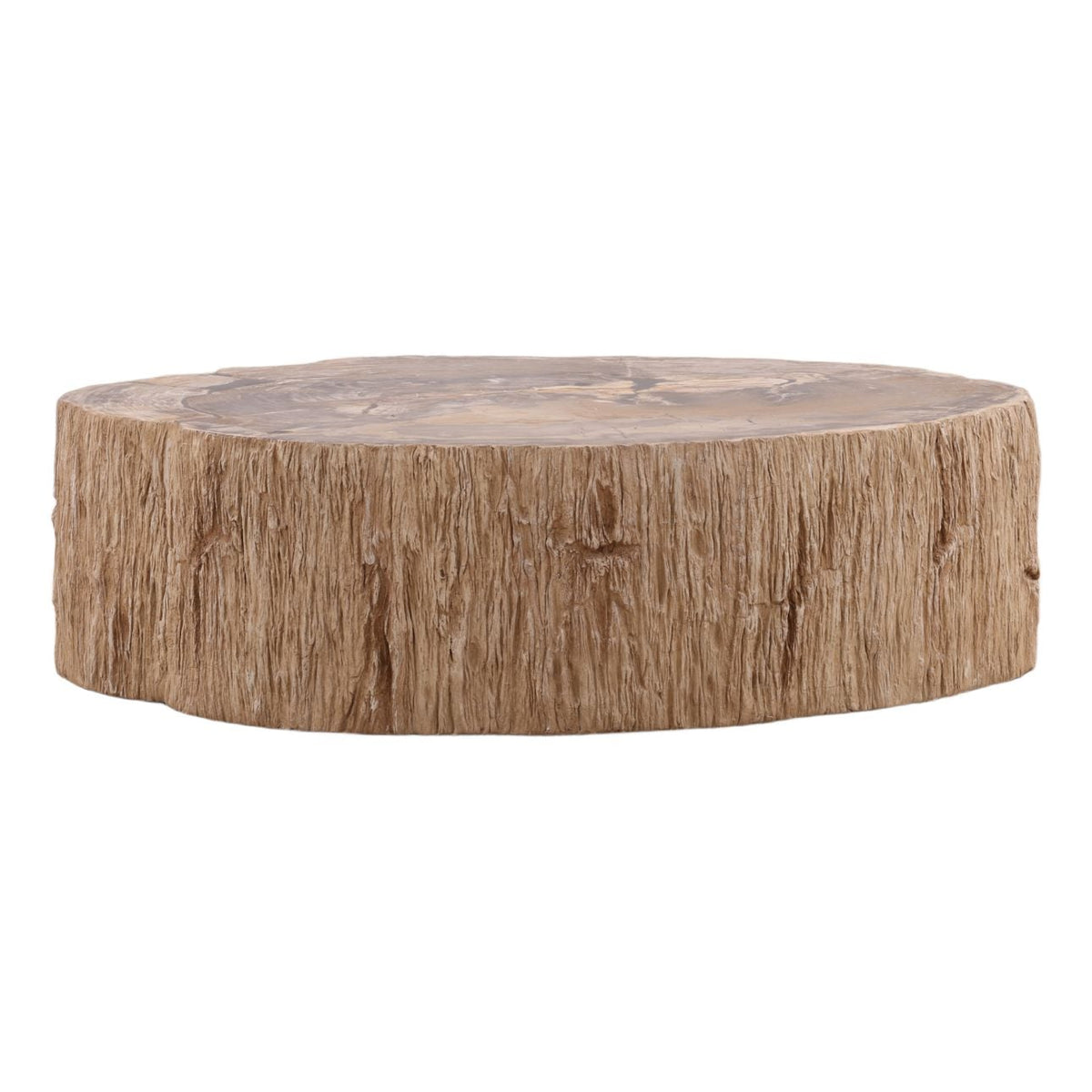 Modern Petrified Wood Coffee Table