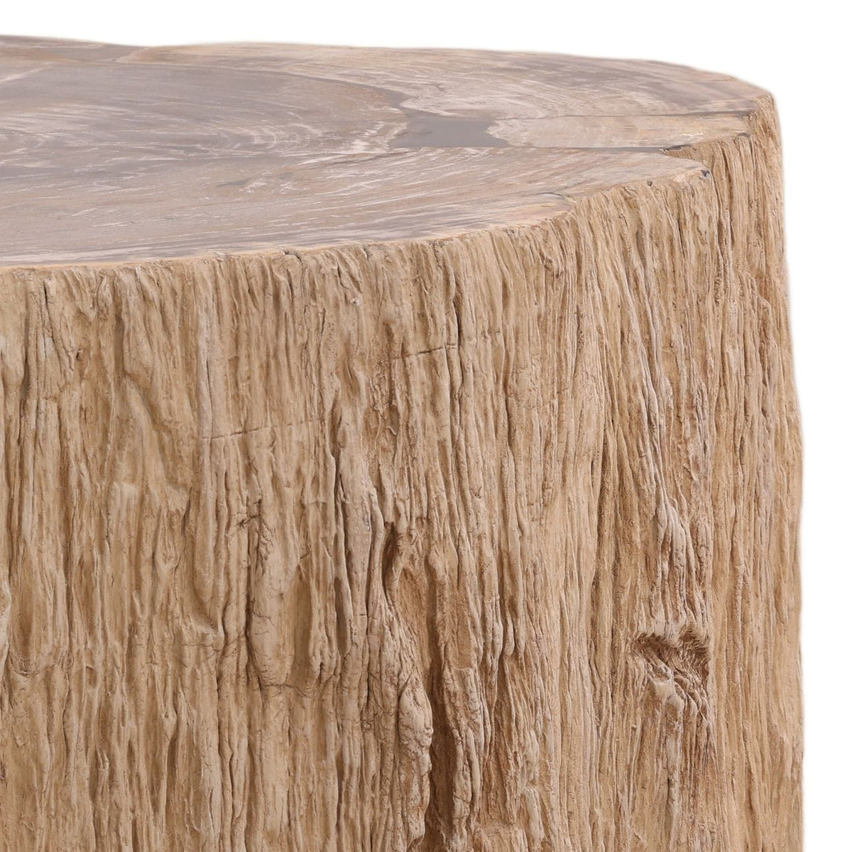 Modern Petrified Wood Coffee Table