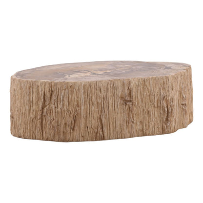 Modern Petrified Wood Coffee Table
