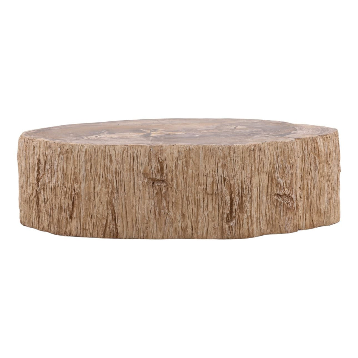 Modern Petrified Wood Coffee Table