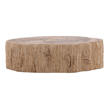 Modern Petrified Wood Coffee Table