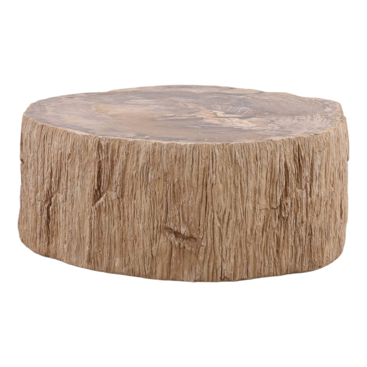 Modern Petrified Wood Coffee Table