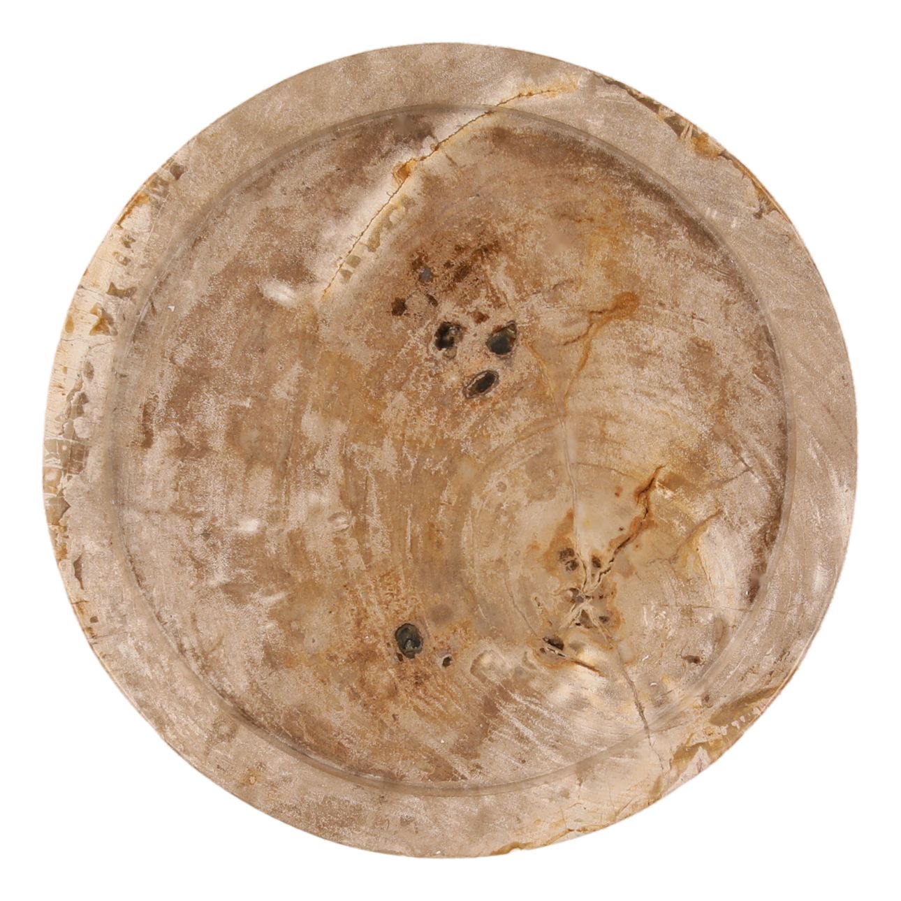 Light Natural Petrified Wood Tray 16 in Wide