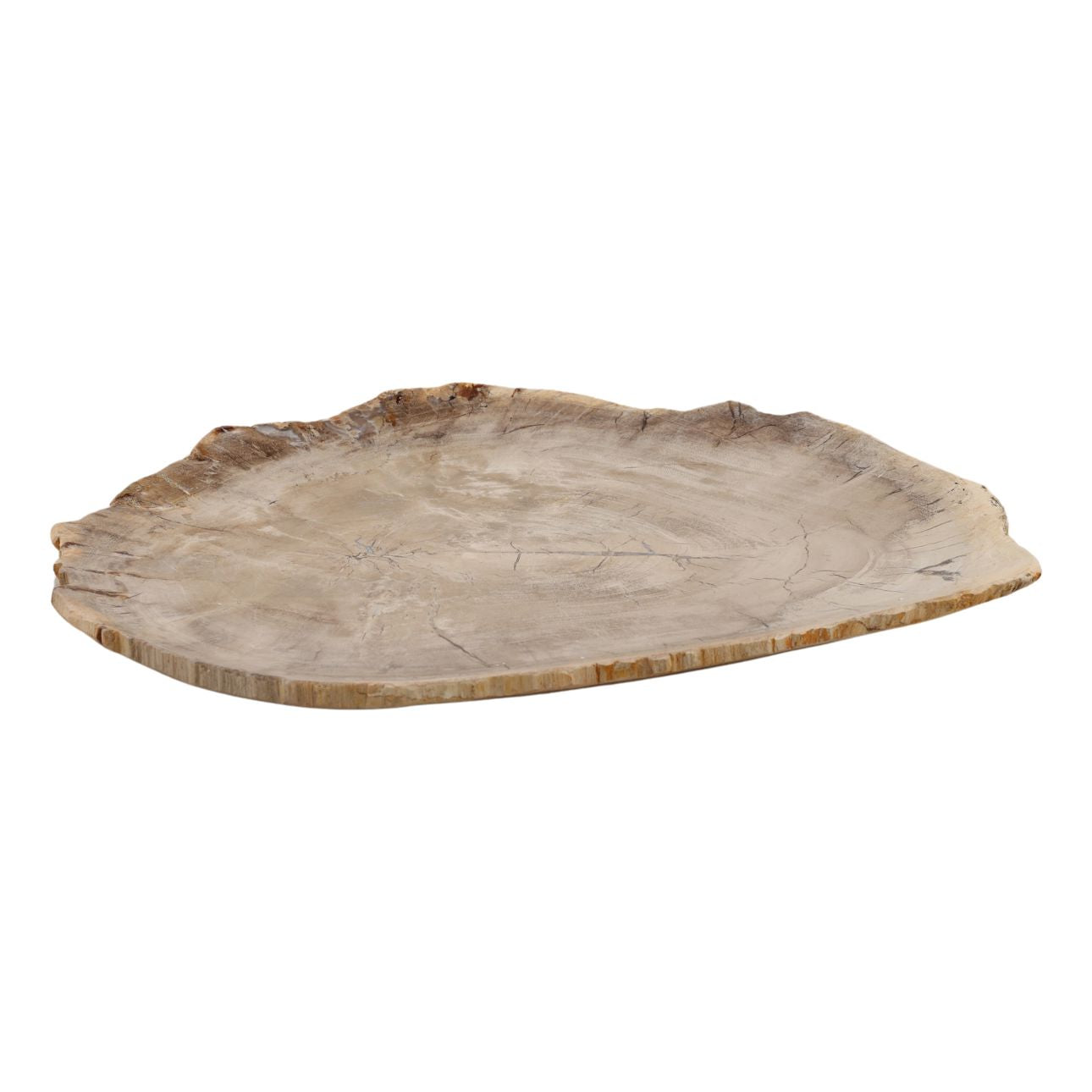 Light Natural Petrified Wood Tray 15 in Wide