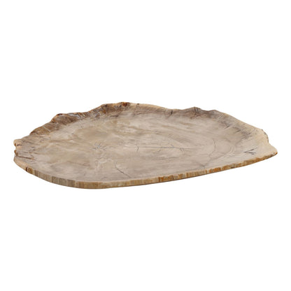 Light Natural Petrified Wood Tray 15 in Wide