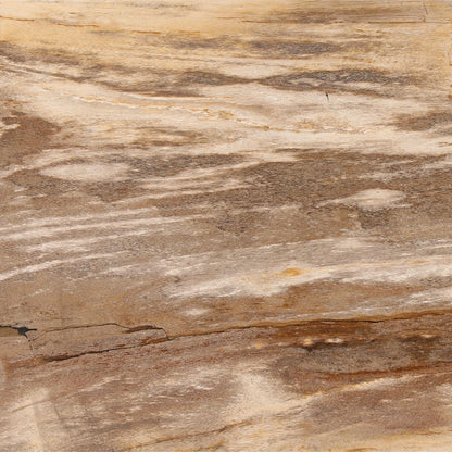 Light Natural and Bronze Petrified Wood and Stainless Steel Table 47 in Wide
