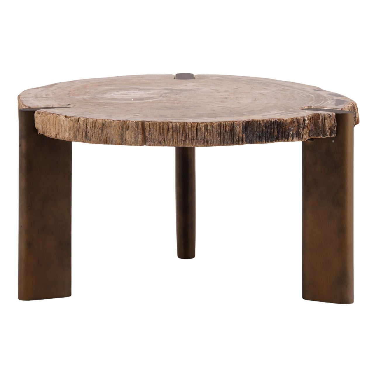 Light Natural and Bronze Petrified Wood and Stainless Steel Table 26.5 in Wide
