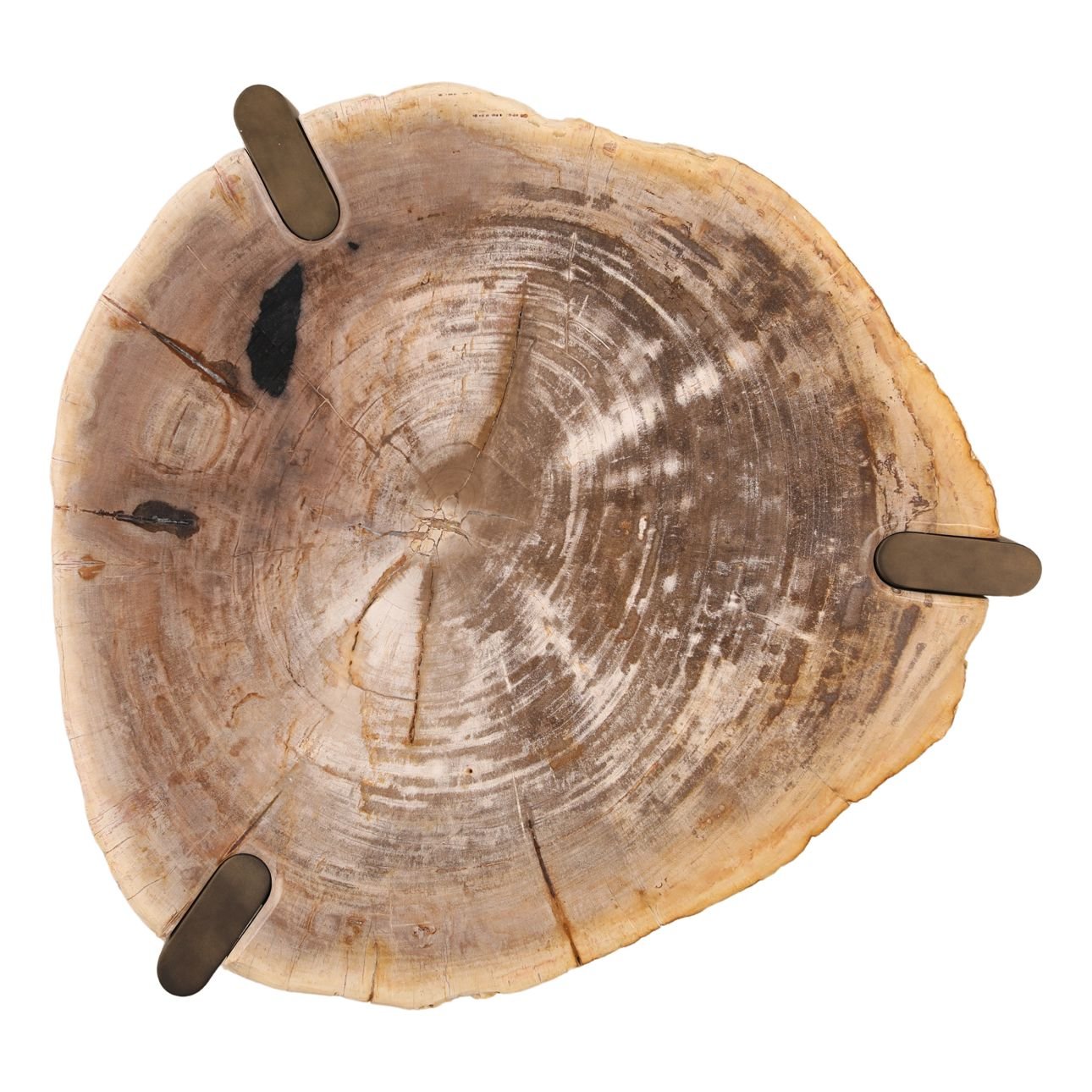 Light Natural and Bronze Petrified Wood and Stainless Steel Table 26.5 in Wide
