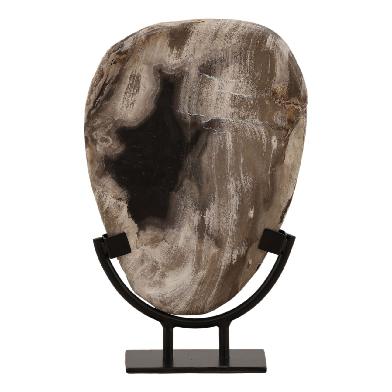 Black Petrified Wood and Iron Sculpture 8 in Wide