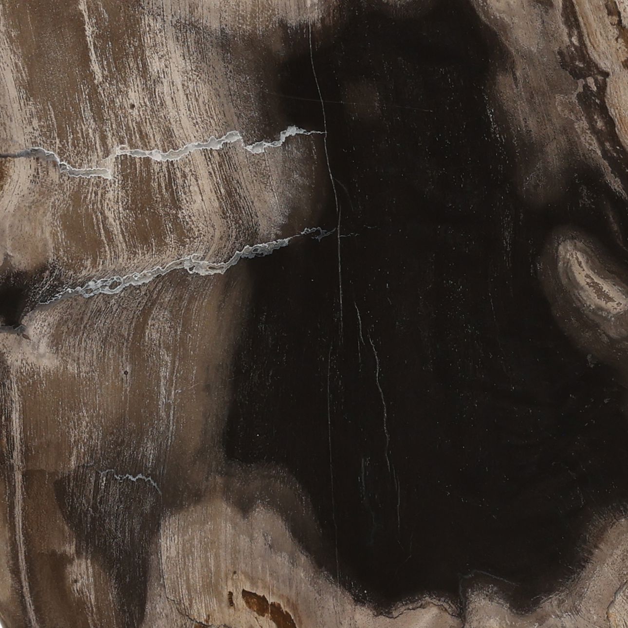 Black Petrified Wood and Iron Sculpture 8 in Wide