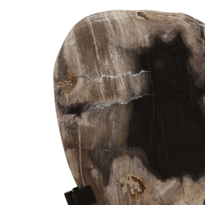 Black Petrified Wood and Iron Sculpture 8 in Wide