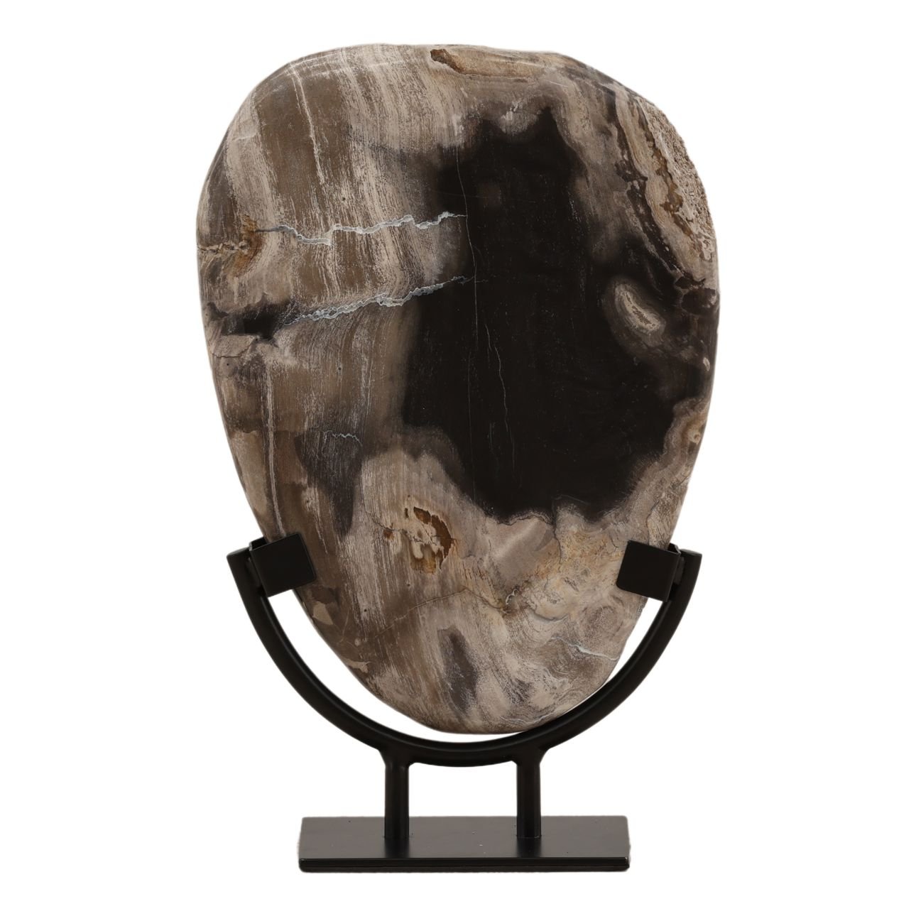 Black Petrified Wood and Iron Sculpture 8 in Wide