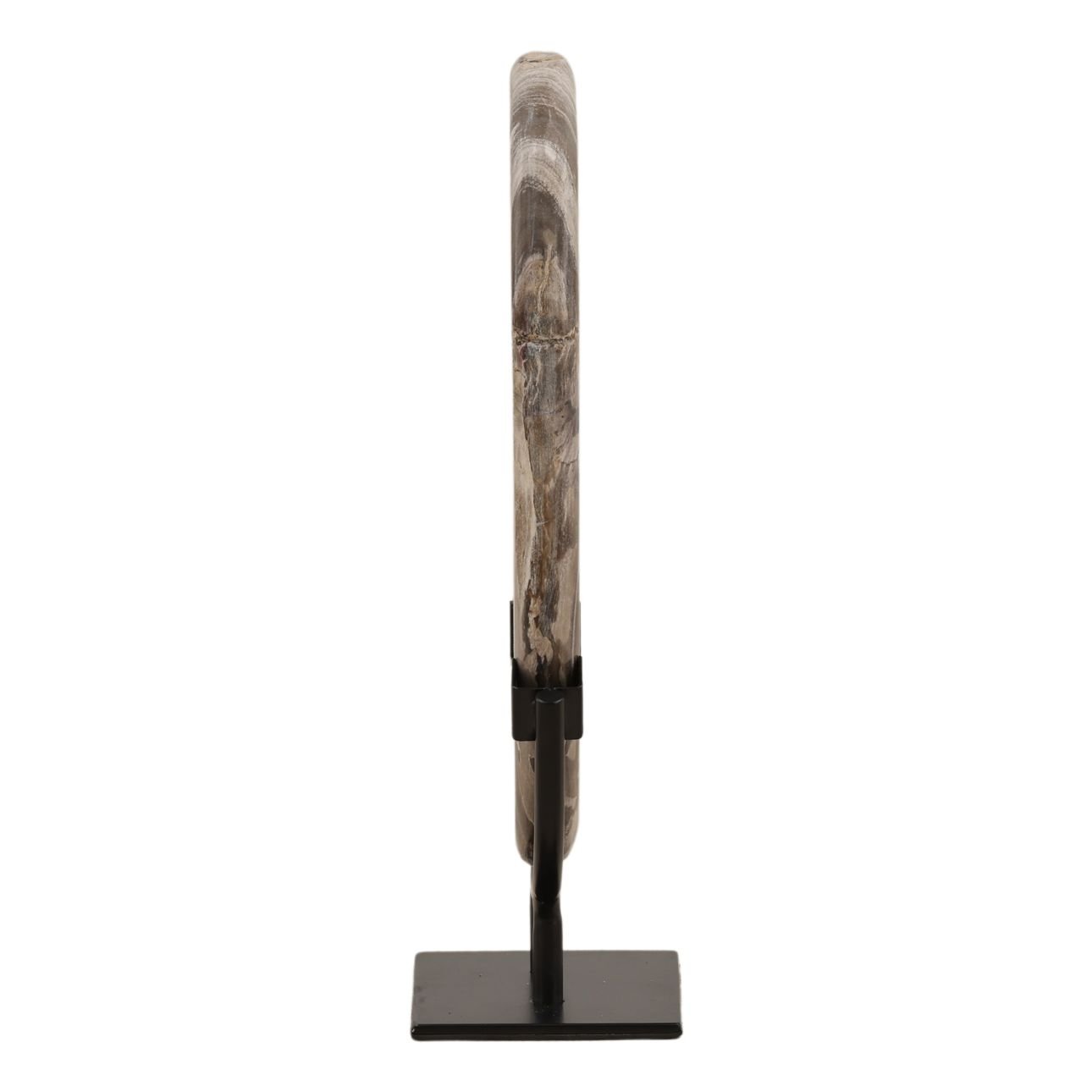 Black Petrified Wood and Iron Sculpture 8 in Wide