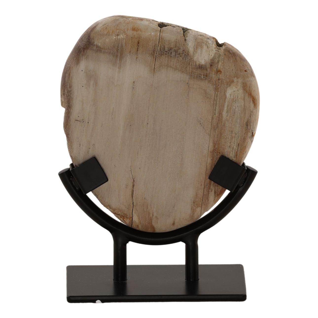 Light Natural and Black Petrified Wood and Iron Sculpture 6 in Wide