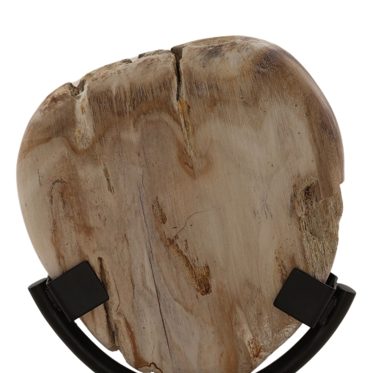 Light Natural and Black Petrified Wood and Iron Sculpture 6 in Wide