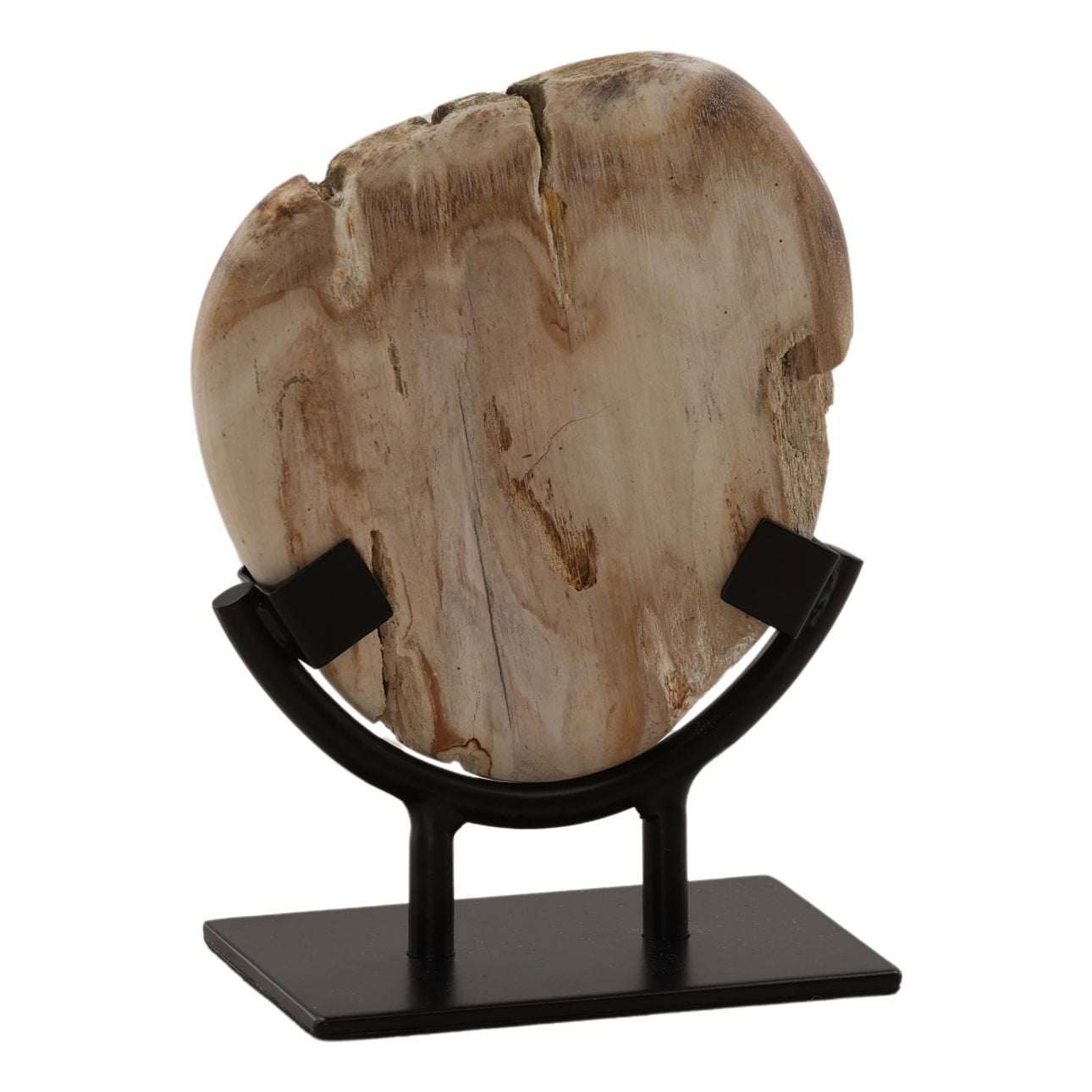 Light Natural and Black Petrified Wood and Iron Sculpture 6 in Wide