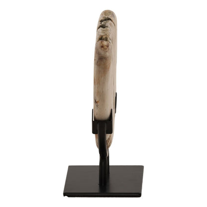 Light Natural and Black Petrified Wood and Iron Sculpture 6 in Wide