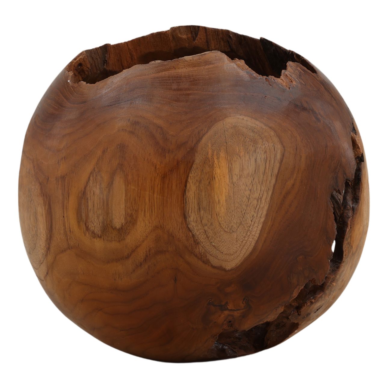 Natural Teak Sculpture 12 in Wide