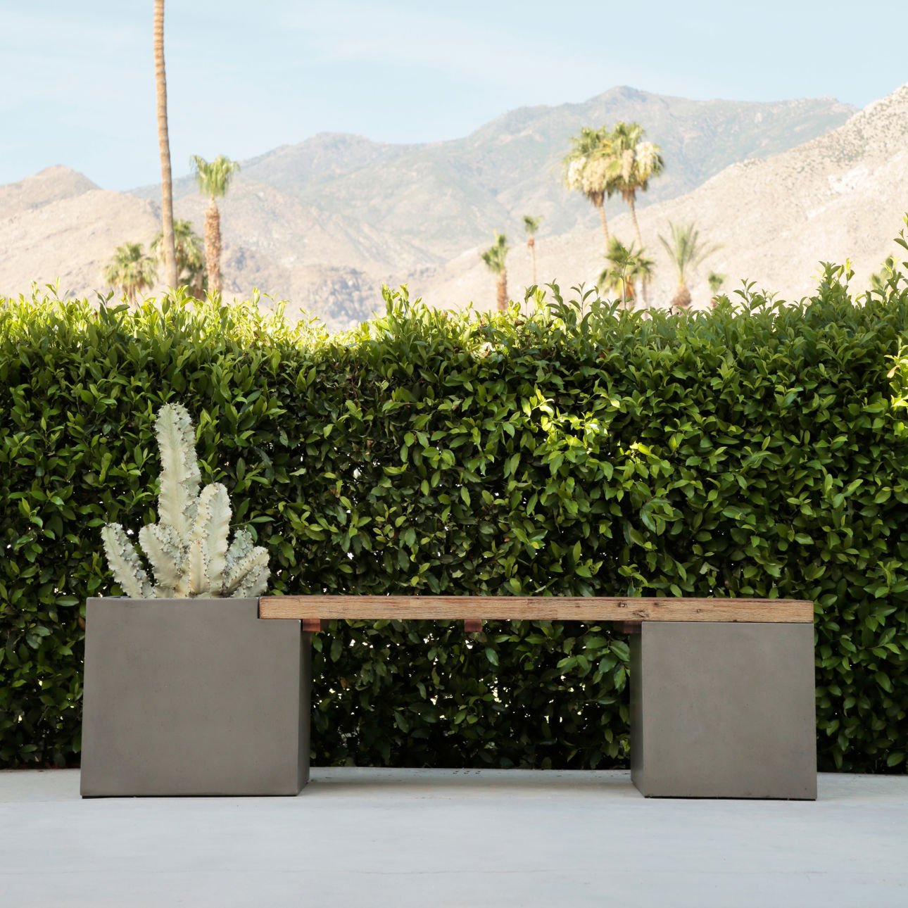Dark Grey Concrete Finish and Natural Wood Sealed Top Lightweight Concrete and Teak Wood Bench 67 in Wide