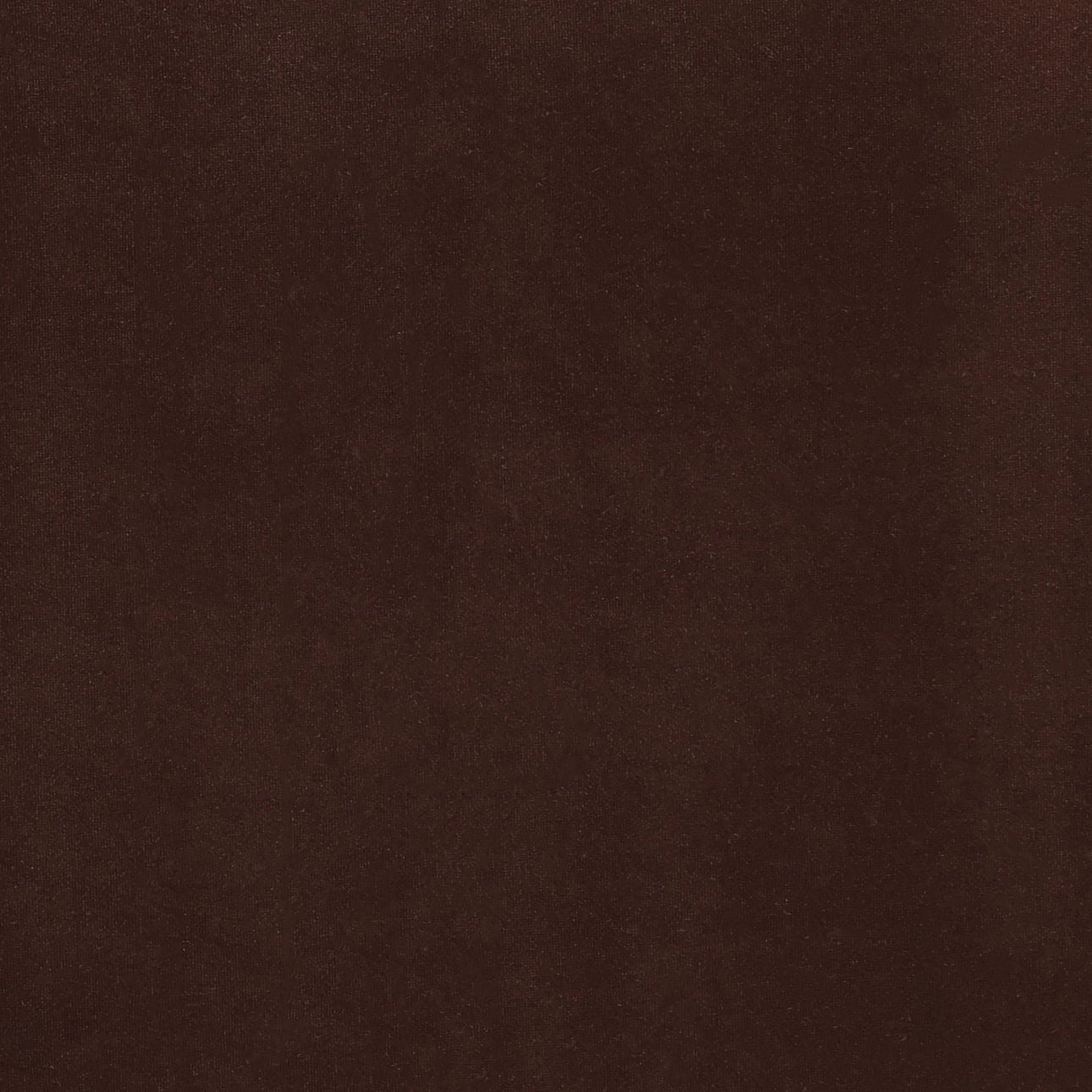 Hudson Chocolate Velvet Fabric and Birch Wood Frame Bed 72 in Wide