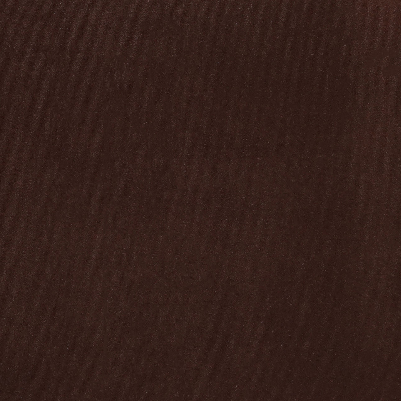 Hudson Chocolate Velvet Fabric and Birch Wood Frame Bed 72 in Wide
