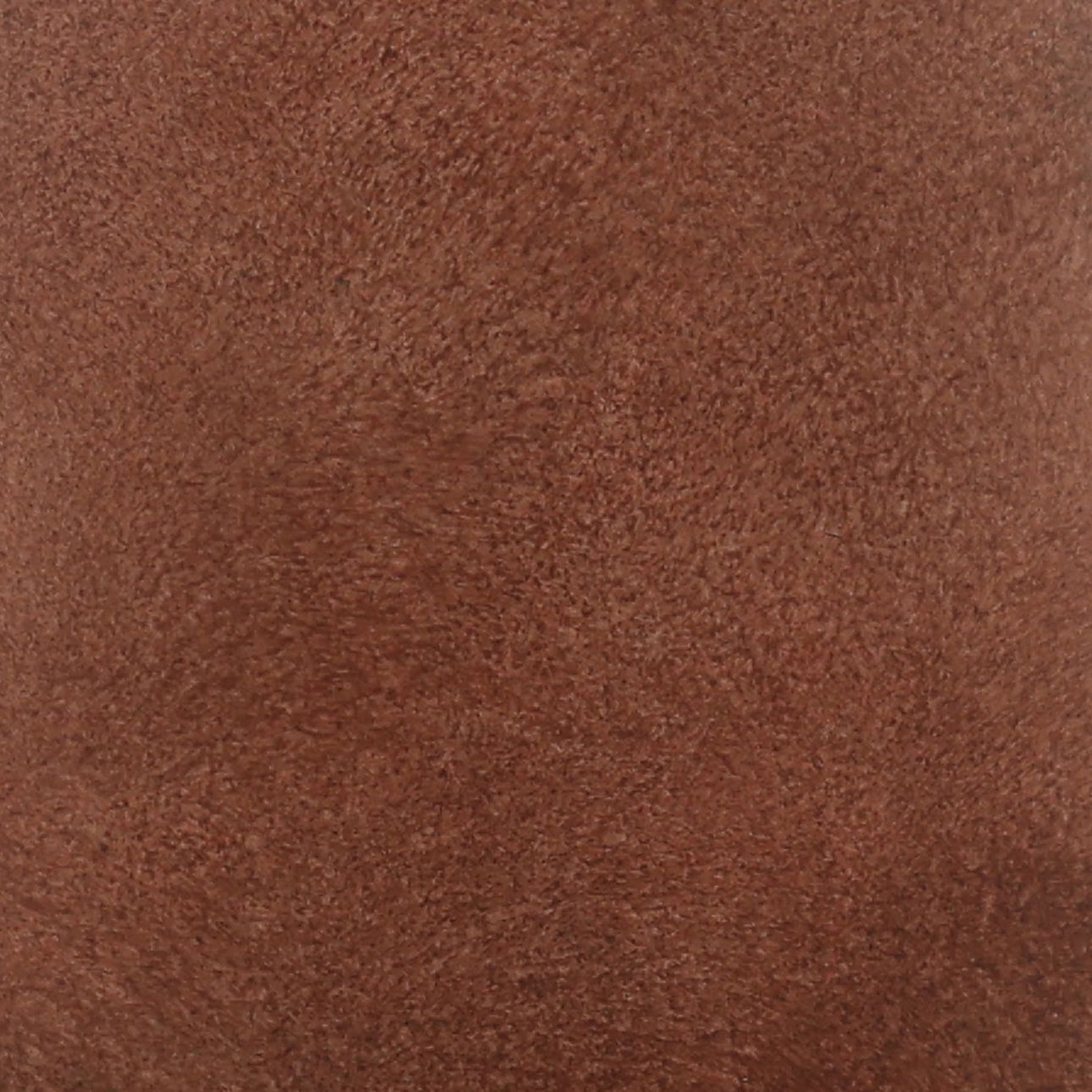 Terracotta Terracotta of 6 in Wide