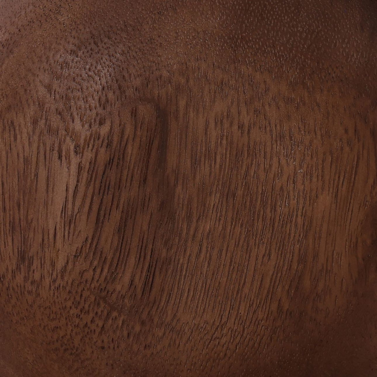Modern Suar Wood Wall Decor