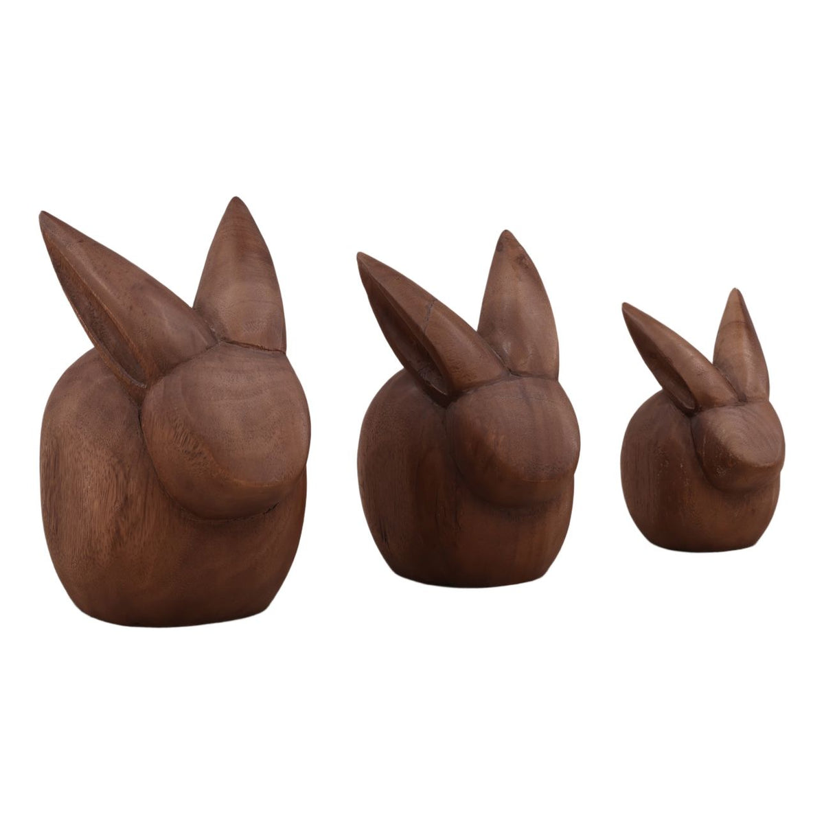 Modern Suar Wood Wall Decor