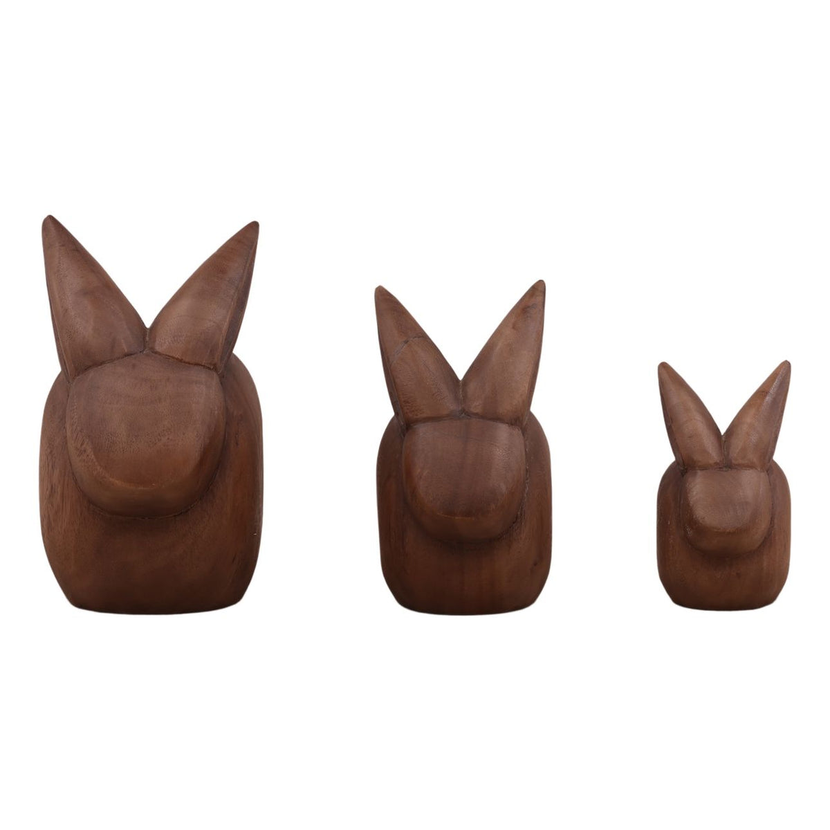 Modern Suar Wood Wall Decor