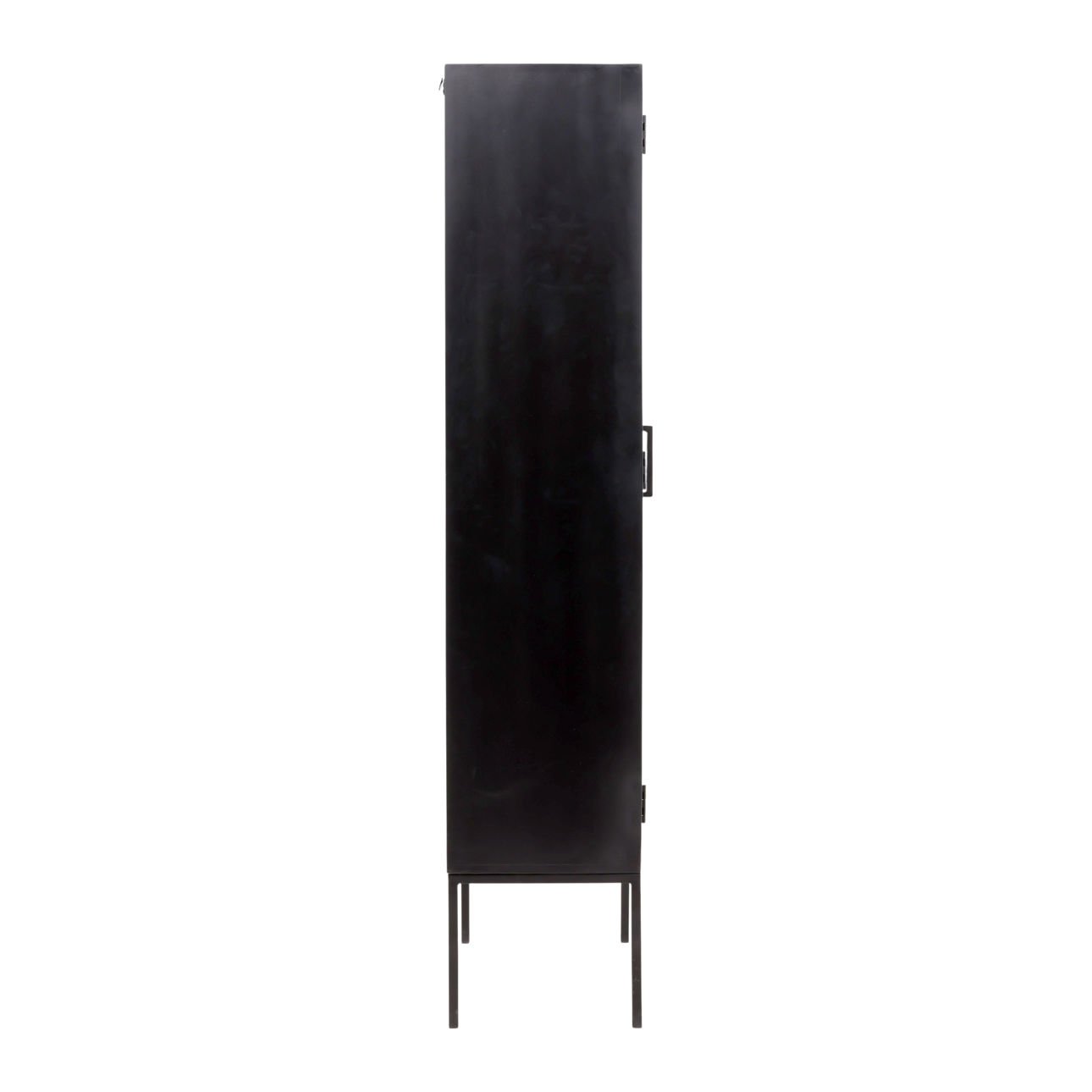 Black and Natural Iron, Glass and Oak Veneer Cabinet 48 in Wide