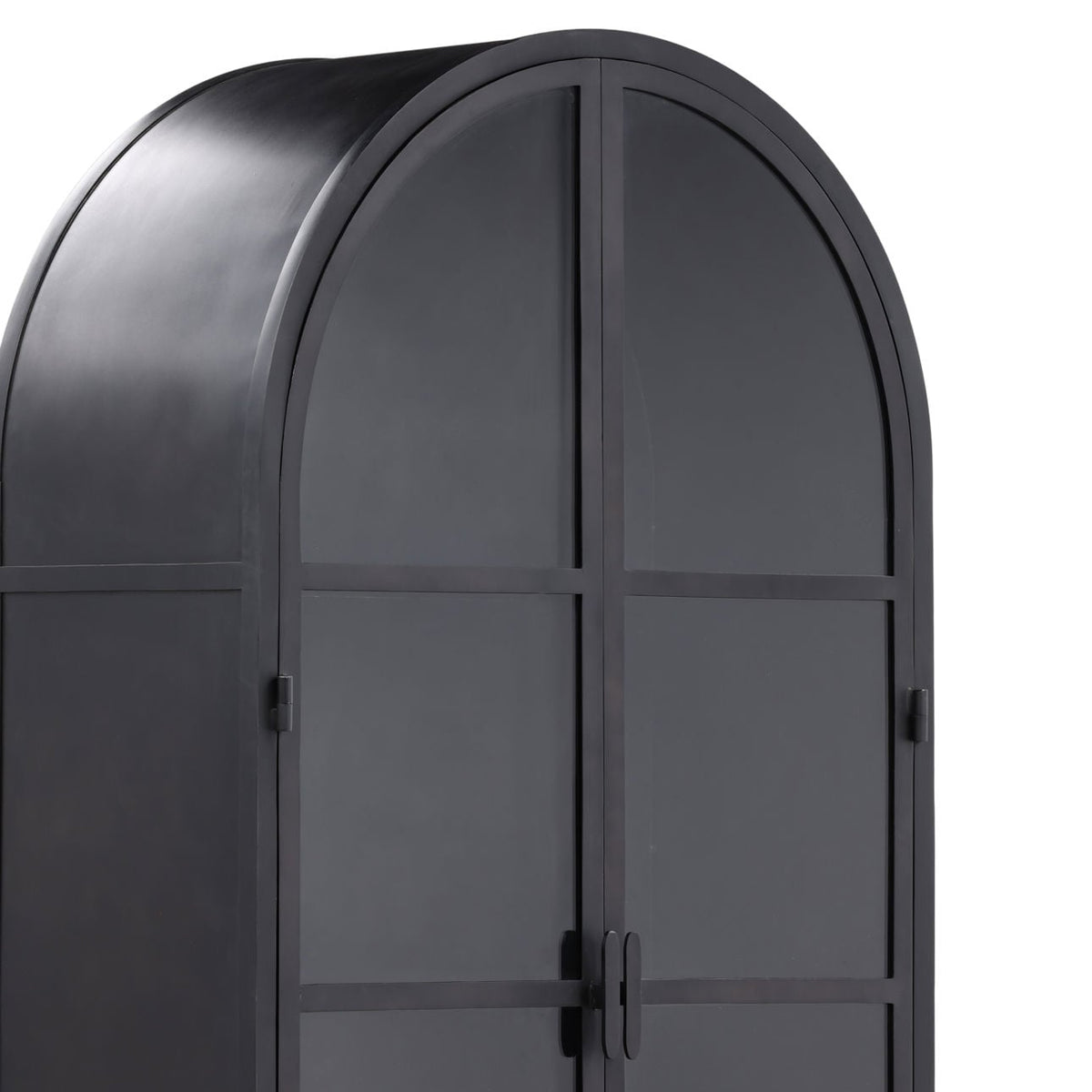Signature Iron and Glass Cabinet