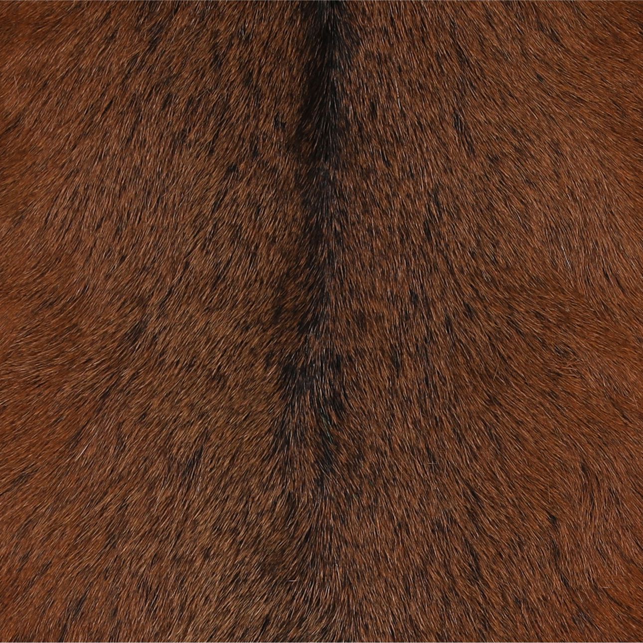 Natural Brown and Black Genuine Goat Hide and Teak Wood Chair 19.5 in Wide