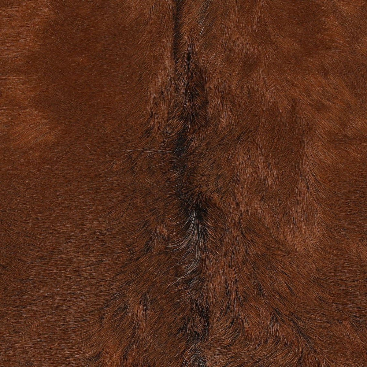 Signature Teak Wood and Goat Hide Home Accent
